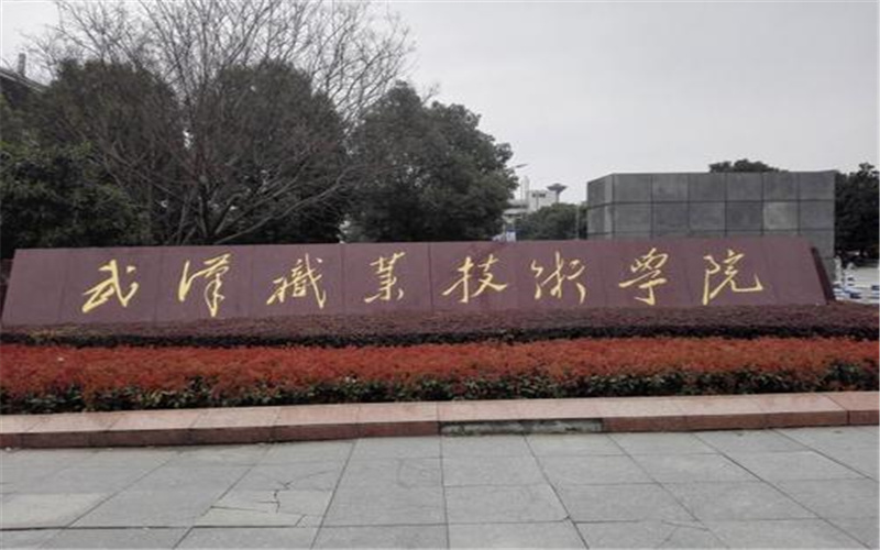 武汉职业技术大学