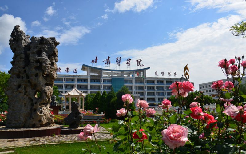 甘肃医学院